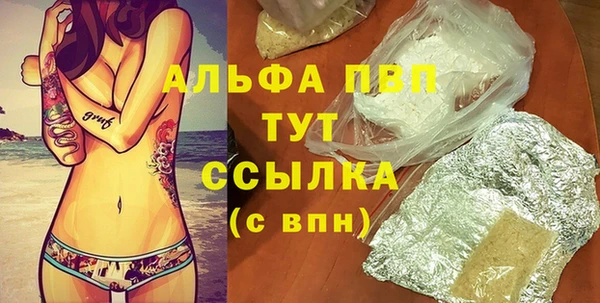 твердый Медногорск
