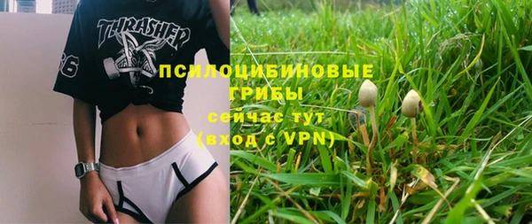 ECSTASY Лиски