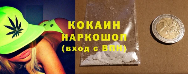 сатива Магас