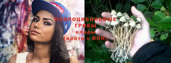 apvp Липки