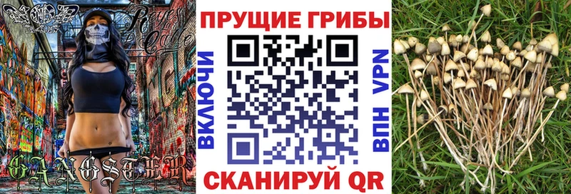 Купить закладки  Красновишерск  Псилоцибиновые грибы Psilocybine cubensis 